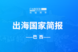 伟德国际1946GO GLOBAL | 巴西国家简报