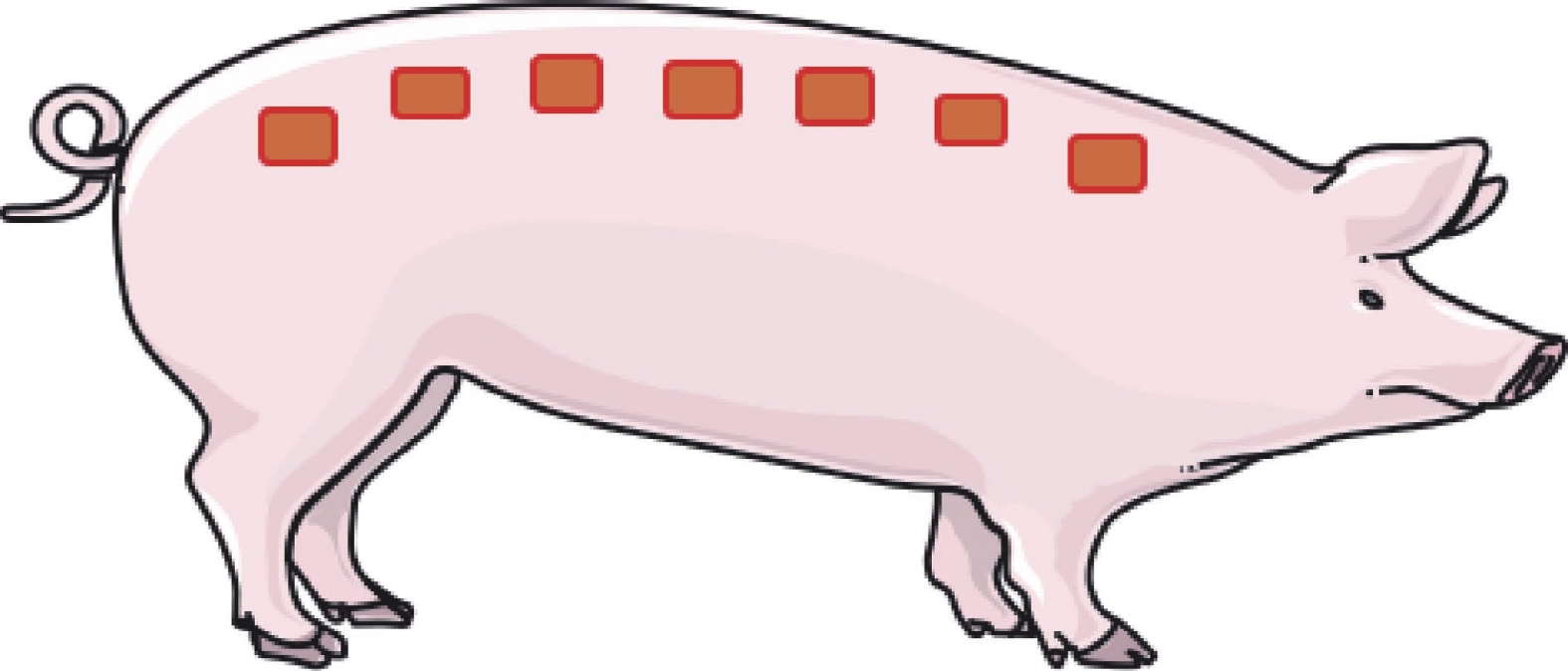 66b1d28e844ad.png 66b1d28e844ad.png